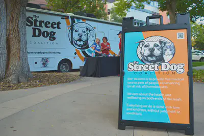 The Street Dog Coalition in action