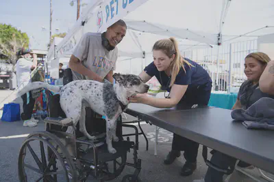 The Street Dog Coalition care services